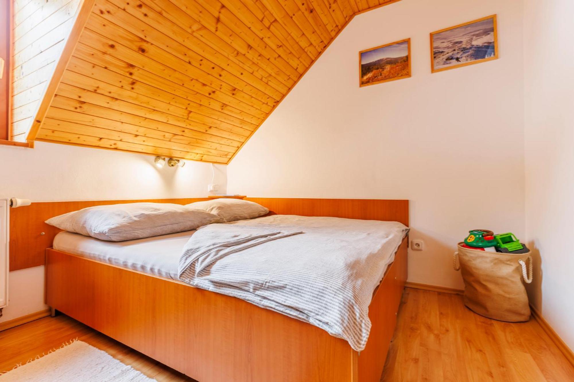 Apartmany Novakovi Dolni Morava Exterior photo